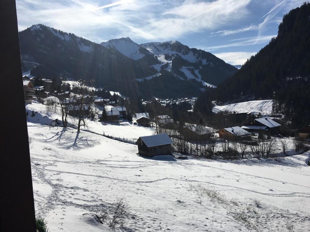 Appartement La Chaumière Des Neiges Châtel